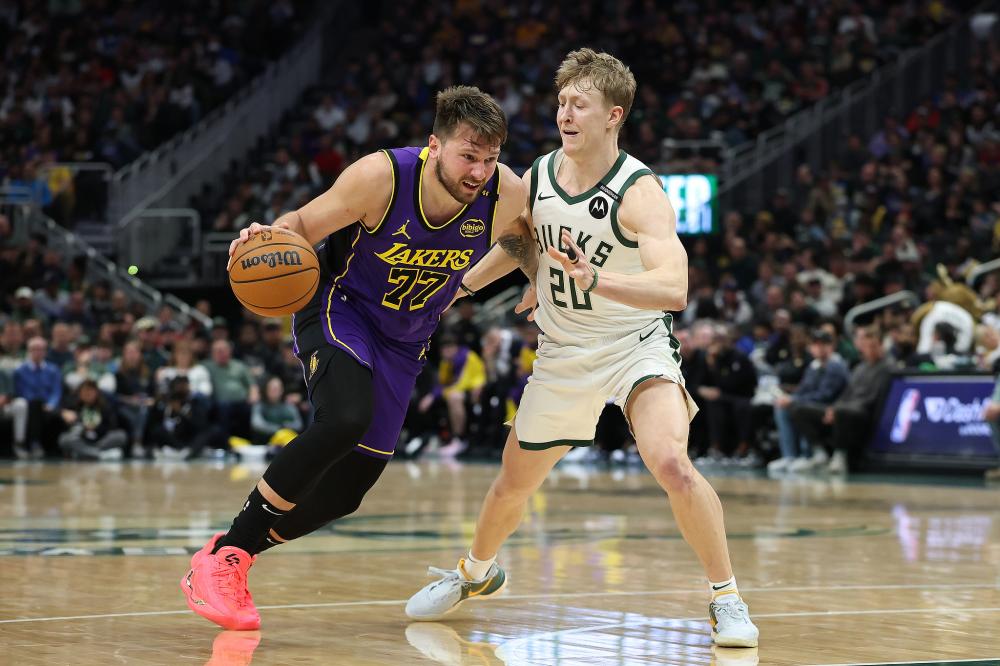 这一理论的 这一理论的